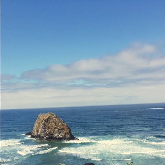 Meet your Posher, Anna - Picture 1 of 1